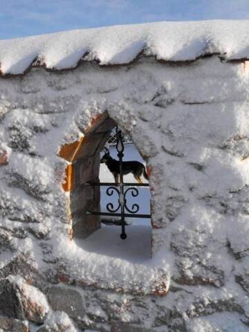 Фото номера Дом для отпуска Дома для отпуска Dworek Chateau de Janauis г. Косьцежина 86